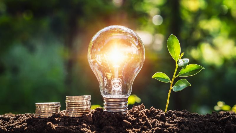 Beschreibung folgt von links nach rechts: Münzen sind auf der Erde, danach folgt eine leuchtende Glühbirne, danach Pflanze die sprießt.