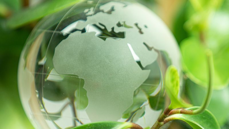 Symbolbild grüner Globus