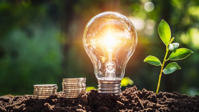 Münzen neben Glühbirne und Pflänzchen