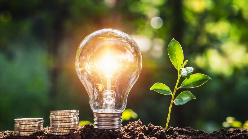 Münzen neben Glühbirne und Pflänzchen