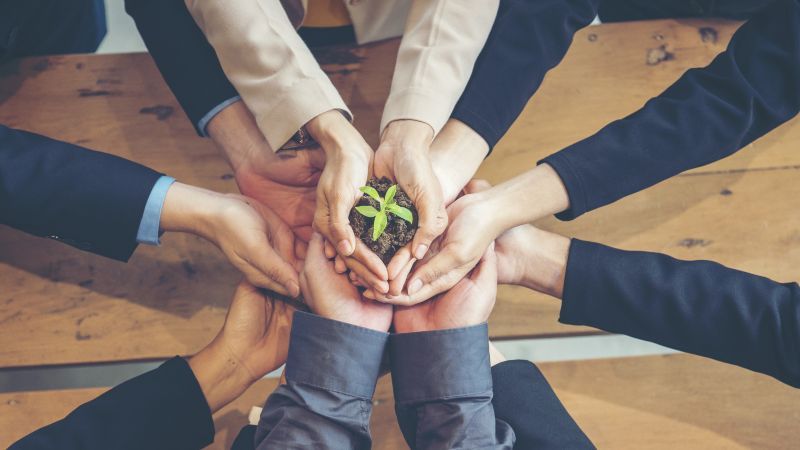 Menschen halten in ihrer Mitte eine kleine Pflanze zusammen in den Händen