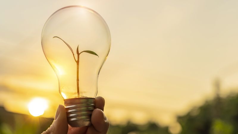 Glühbirne mit kleiner Pflanze statt Glühfaden