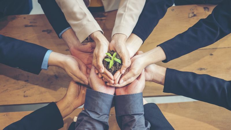 Menschen halten in ihrer Mitte eine kleine Pflanze zusammen in den Händen